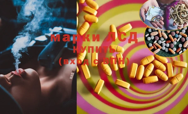 индика Ахтубинск