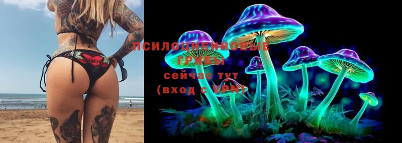 Псилоцибиновые грибы MAGIC MUSHROOMS  Печора 