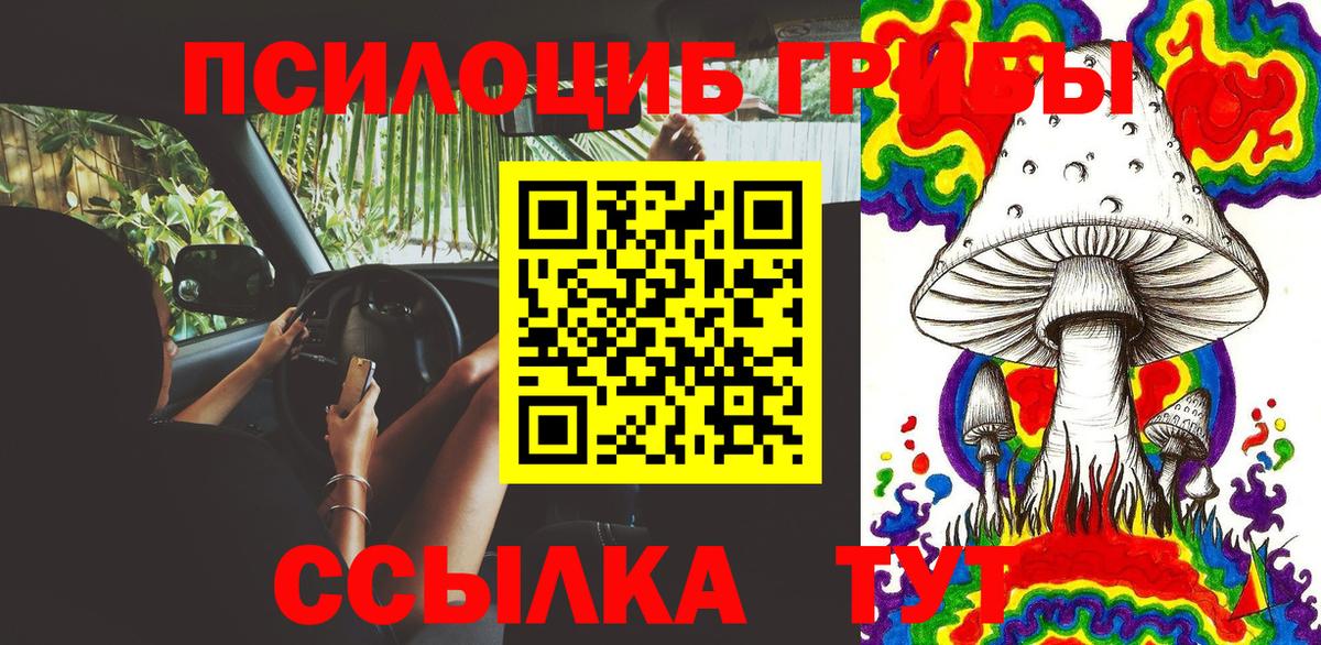 Галлюциногенные грибы Psilocybe Печора