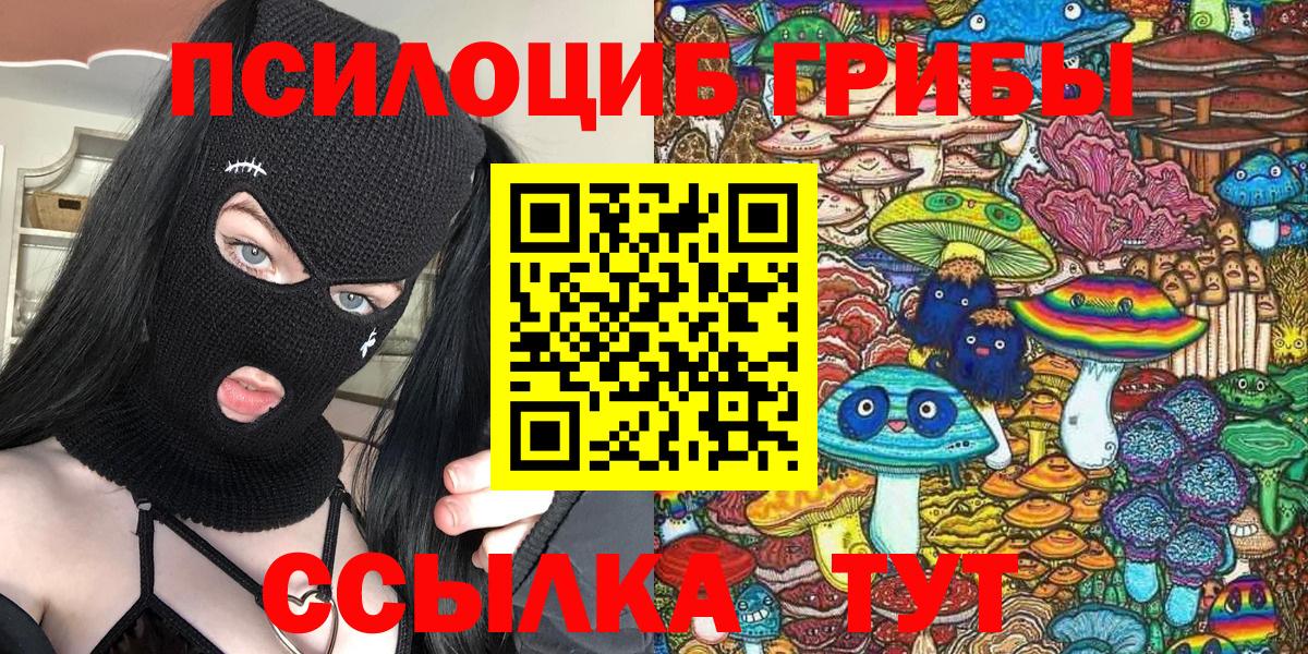 Псилоцибиновые грибы прущие грибы  Печора 