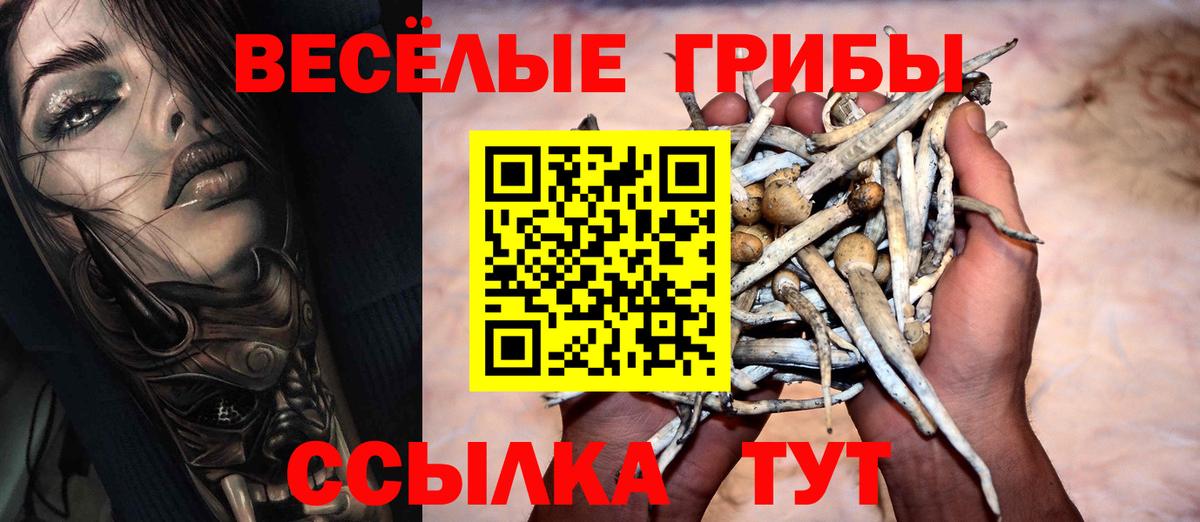 Псилоцибиновые грибы прущие грибы Печора