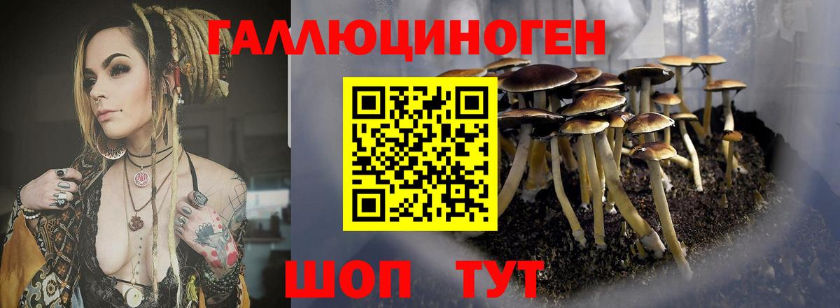 Галлюциногенные грибы Psilocybe  Вход с VPN  Печора 